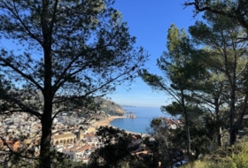 Foto 8
