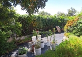 Chalet independiente con terreno en venta en la España, Iznájar, ref: TR242546 foto