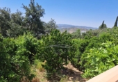Chalet independiente con terreno en venta en la España, Iznájar, ref: TR242546 foto