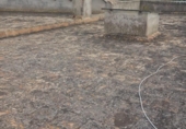 Detached villa with land for sale on España, Llucmajor, ref: TR376877 photo