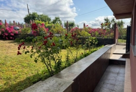 Foto 10