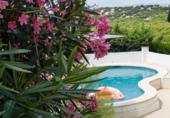 Village house for sale on España, l'Escala, ref: TR347816 photo