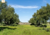 Chalet independiente con terreno en venta en la España, Prado del Rey, ref: TR241485 foto