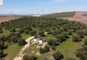 Chalet independiente con terreno en venta en la España, Prado del Rey, ref: TR241485 foto
