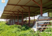 Chalet independiente con terreno en venta en la España, Prado del Rey, ref: TR241485 foto