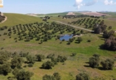 Chalet independiente con terreno en venta en la España, Prado del Rey, ref: TR241485 foto