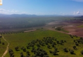 Chalet independiente con terreno en venta en la España, Prado del Rey, ref: TR241485 foto