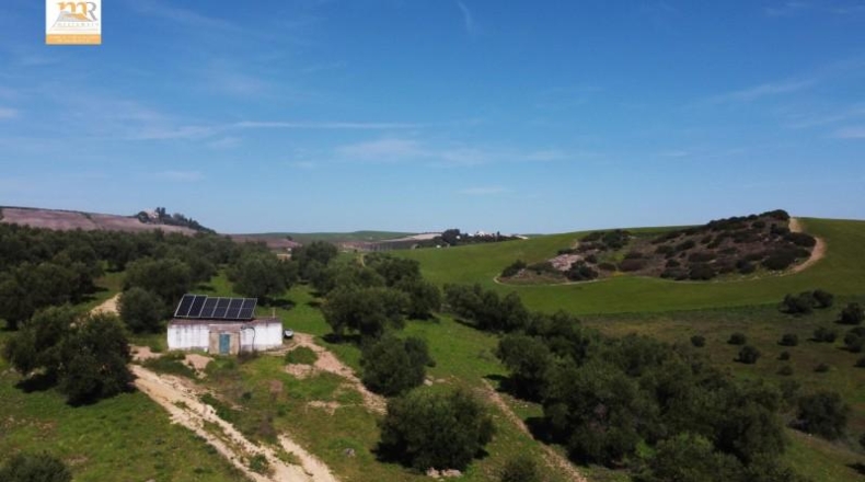 Cadiz - Cádiz - 21m2