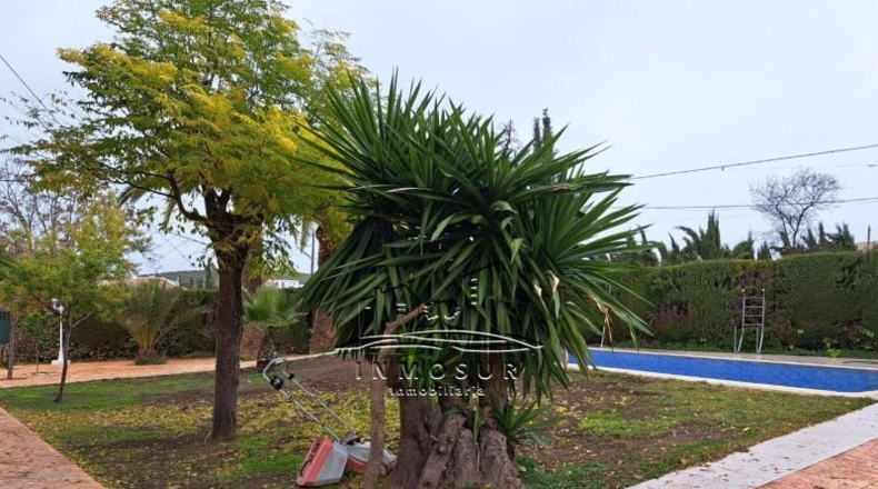 Córdoba - Lucena - 2700m2
