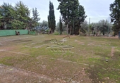 Chalet independiente con terreno en venta en la España, Lucena, ref: TR194554 foto