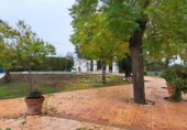 Chalet independiente con terreno en venta en la España, Lucena, ref: TR194554 foto