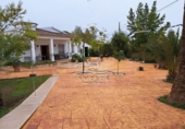 Chalet independiente con terreno en venta en la España, Lucena, ref: TR194554 foto