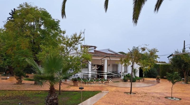 Córdoba - Lucena - 2700m2