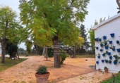 Chalet independiente con terreno en venta en la España, Lucena, ref: TR194554 foto