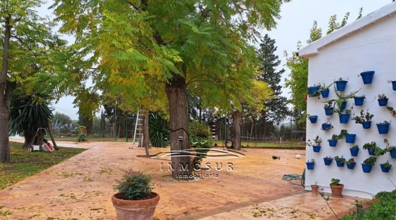 Córdoba - Lucena - 2700m2