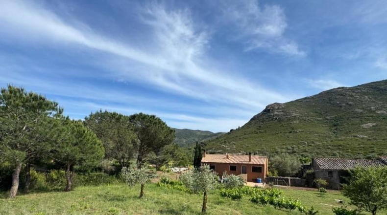 Gerona - Llançà - 1058m2