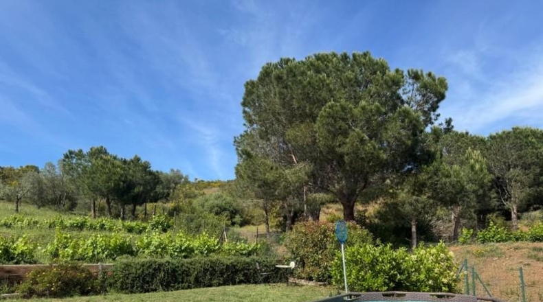 Gerona - Llançà - 1058m2