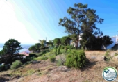 Parcel·la urbanitzable en venda a la España, Roses, ref.: TR125750 foto