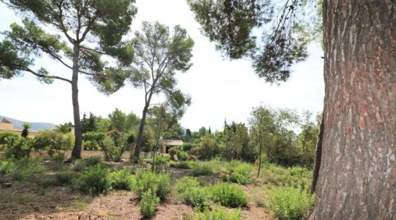 Balearic Islands - Alcudia - 1020m2