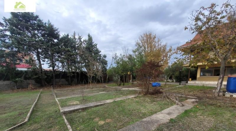 Zamora - Morales del Vino - 6000m2