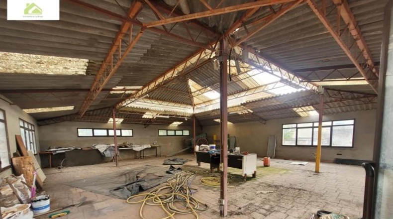 Zamora - Morales del Vino - 6000m2