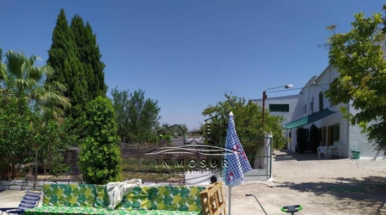 Córdoba - Lucena - 51000m2