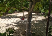 Xalet independent amb terreny en venda a la España, Lucena, ref.: TR242589 foto