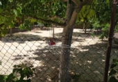 Xalet independent amb terreny en venda a la España, Lucena, ref.: TR242589 foto