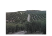 Terreny no urbanitzable en venda a la España, Lucena, ref.: TR194572 foto