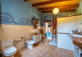 Casa de campo con terreno en venta en la España, Felanitx, ref: TR326377 foto
