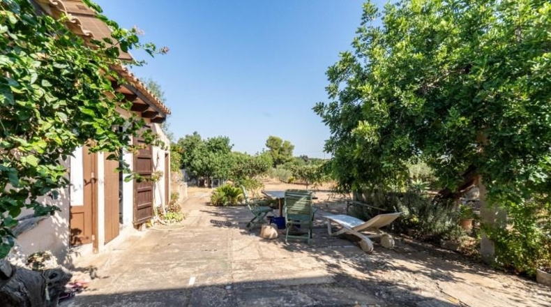 Islas Baleares - Felanitx - 4094m2