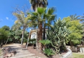 Detached villa with land for sale on España, Murcia, ref: TR287482 photo