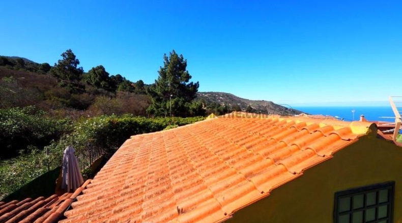 Santa Creu de Tenerife - Icod de los Vinos - 1035m2
