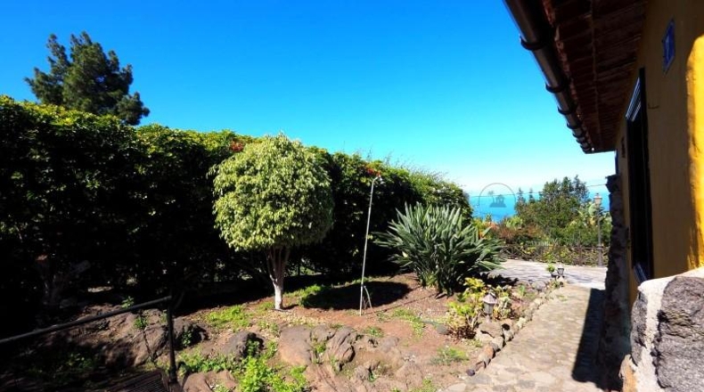 Santa Creu de Tenerife - Icod de los Vinos - 1035m2