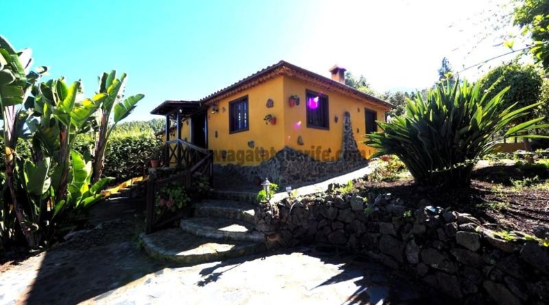 Santa Creu de Tenerife - Icod de los Vinos - 1035m2
