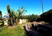 Casa de campo con terreno en venta en la España, Icod de los Vinos, ref: TR177107 foto