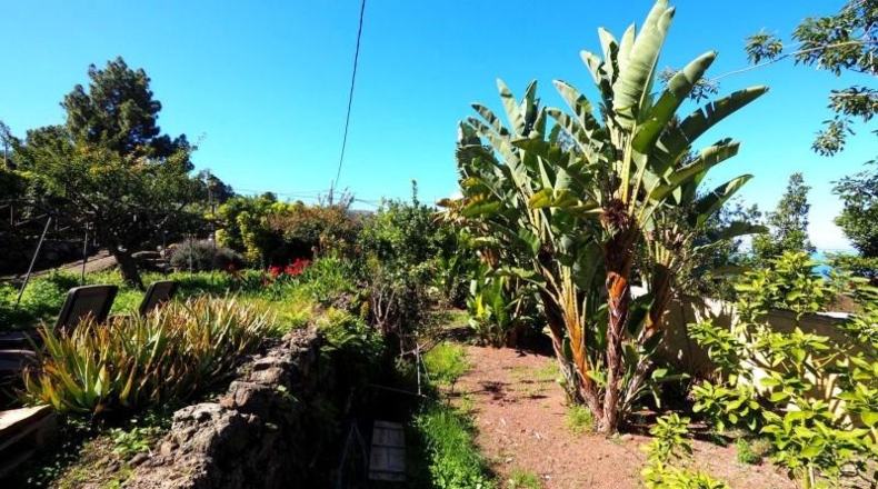 Santa Creu de Tenerife - Icod de los Vinos - 1035m2