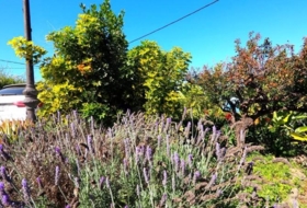 Foto 15