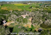 Casa de campo con terreno en venta en la España, Ses Salines, ref: TR219621 foto