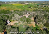 Casa de campo con terreno en venta en la España, Ses Salines, ref: TR219621 foto