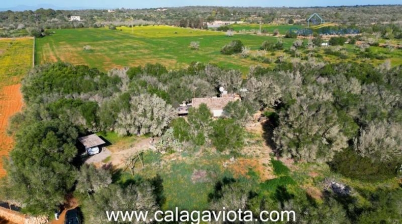 Balearic Islands - Las Salinas - 15000m2