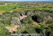 Casa de campo con terreno en venta en la España, Ses Salines, ref: TR219621 foto