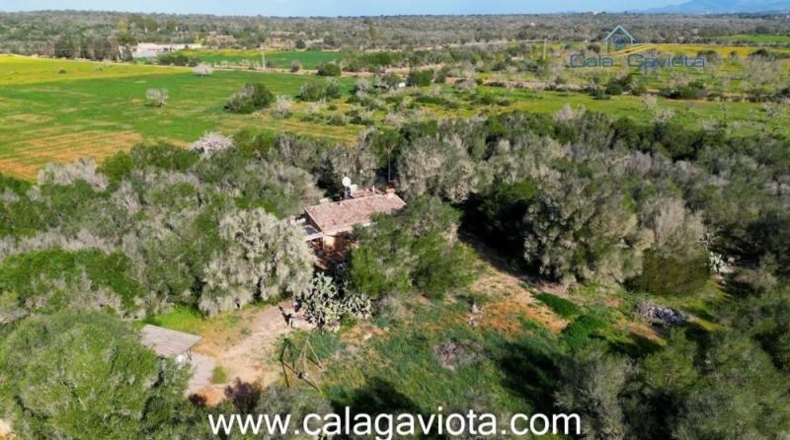Balearic Islands - Las Salinas - 15000m2