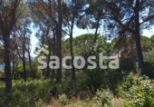 Land suitable for development for sale on España, Lloret de Mar, ref: TR182066 photo
