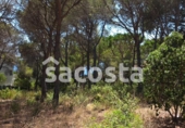 Land suitable for development for sale on España, Lloret de Mar, ref: TR182066 photo