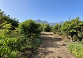 Casa de campo con terreno en venta en la España, Buenavista del Norte, ref: TR379133 foto