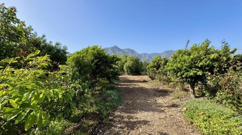 Santa Cruz de Tenerife - Buenavista del Norte - 15000m2
