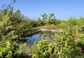 Casa de campo con terreno en venta en la España, Buenavista del Norte, ref: TR379133 foto