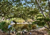 Casa de campo con terreno en venta en la España, Buenavista del Norte, ref: TR379133 foto