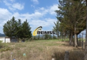 Finca rústica en venda a la España, Riudarenes, ref.: TR291216 foto